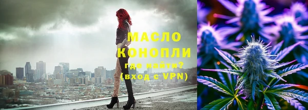 индика Осинники