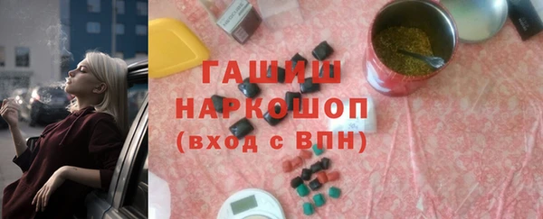 индика Осинники