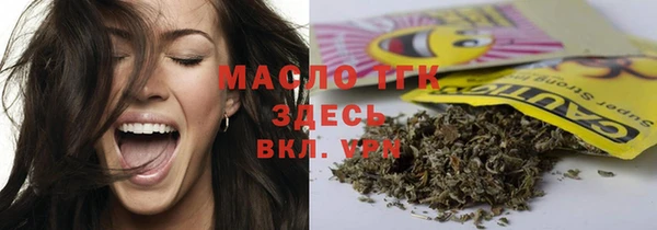 гидра Абаза