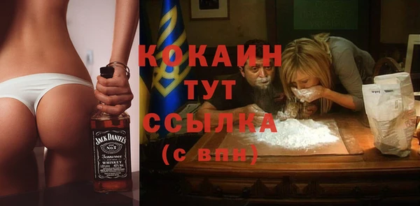 гидра Абаза