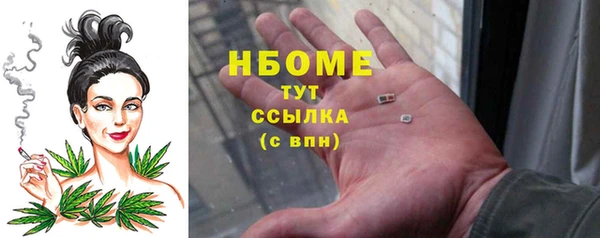 индика Осинники