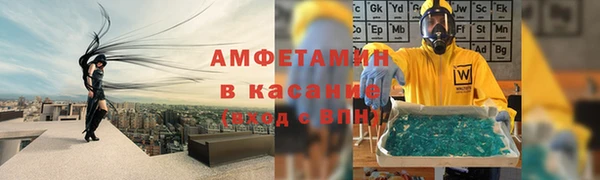 гидра Абаза