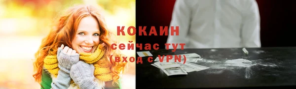 гидра Абаза