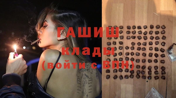 гидра Абаза